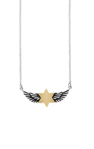 king baby winged star of david necklace