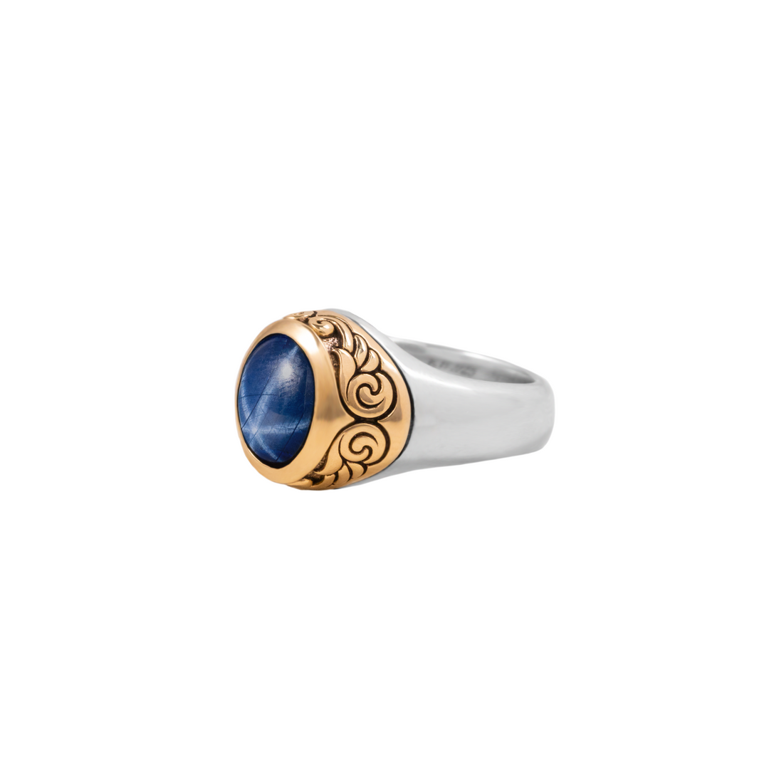 Sapphire Oval Stone Ring w/ 10K Gold Wing Detail