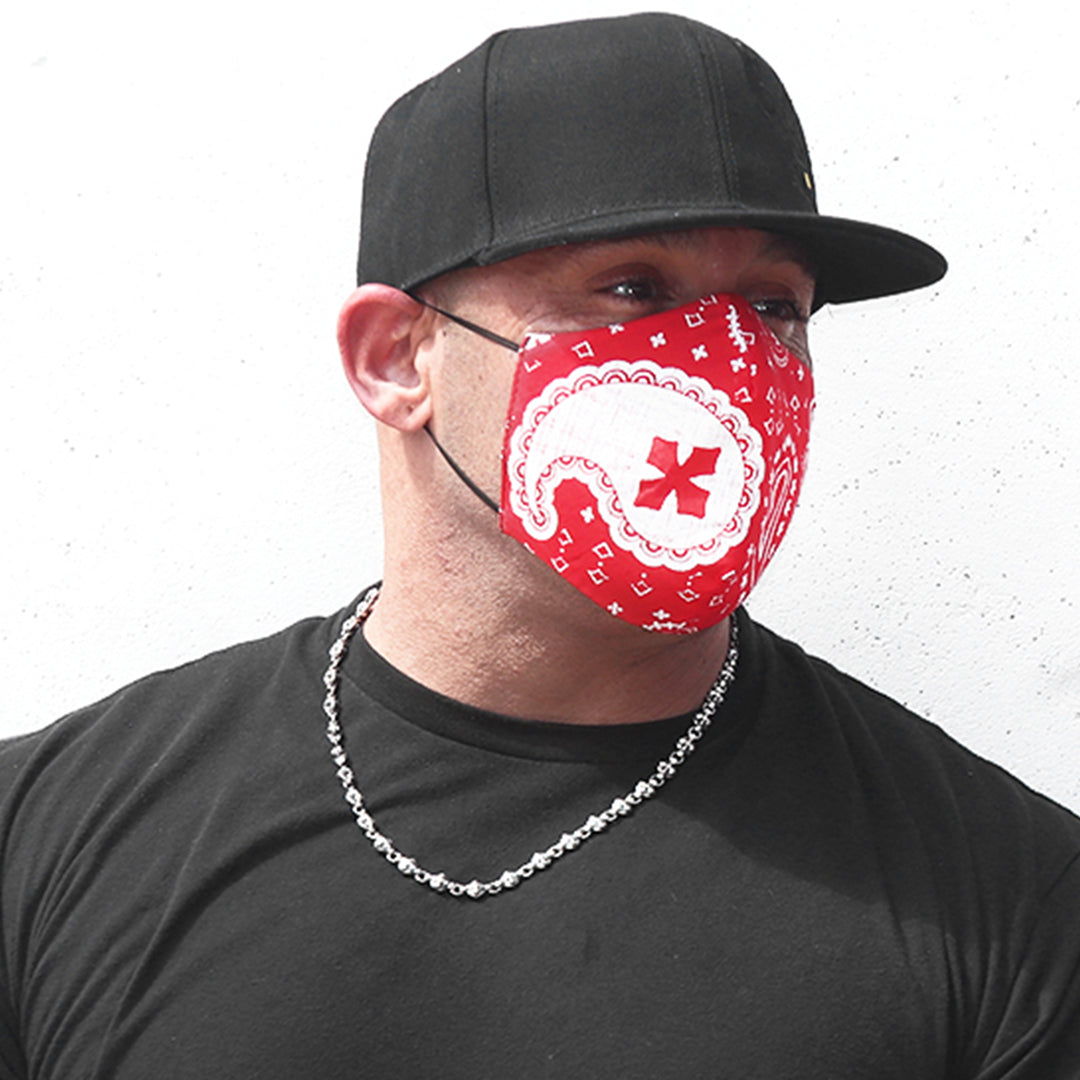 MB Cross Paisley Bandana Fabric Face Mask