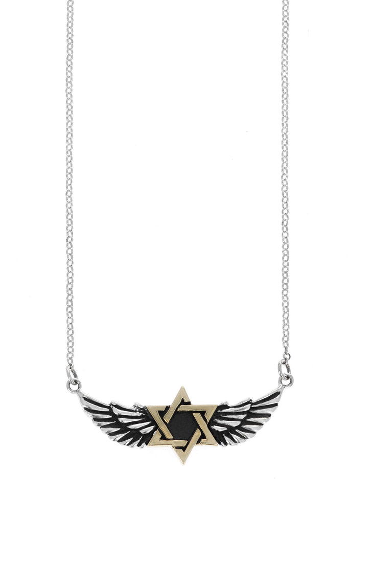 king baby winged star of david necklace